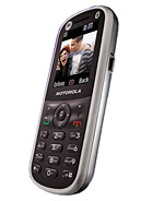 Best available price of Motorola WX288 in Czech