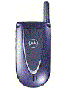 Best available price of Motorola V66i in Czech